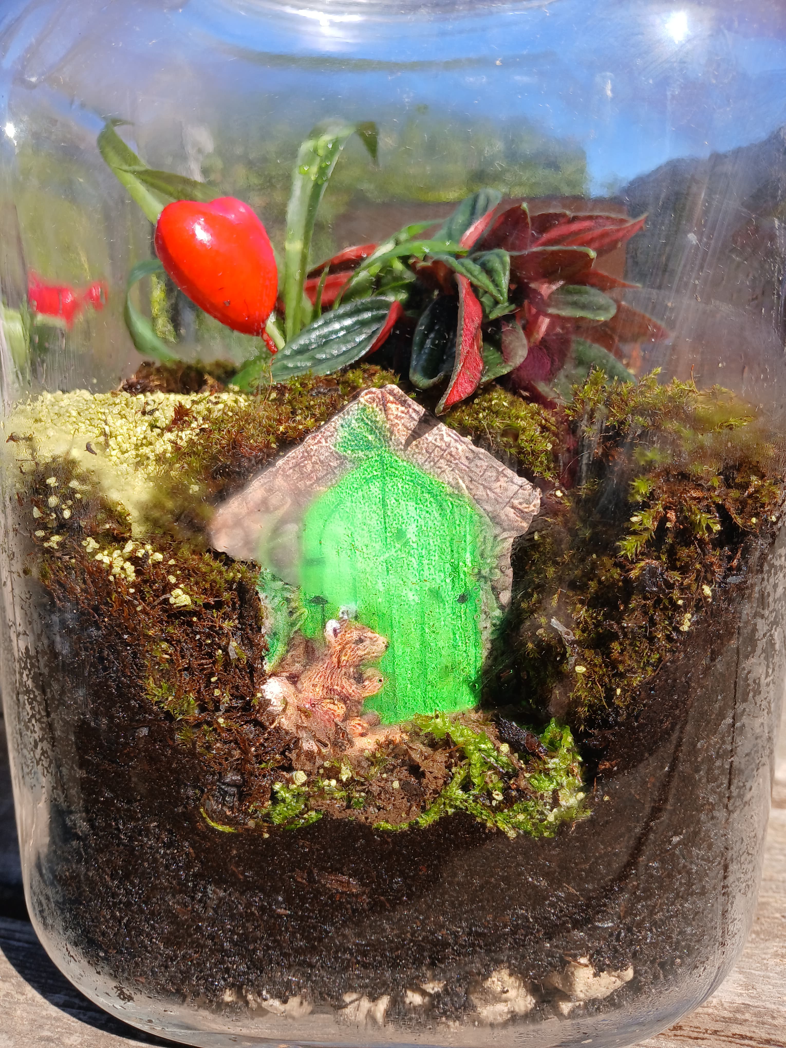 Lanterne abeille, Terrarium lumineux artisanal, Les Mini Mondes de Marie